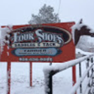 Meet your Posher, Patricia